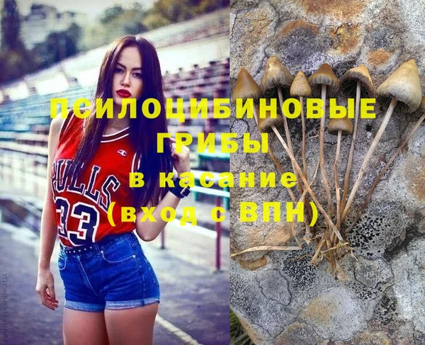 MESCALINE Алзамай